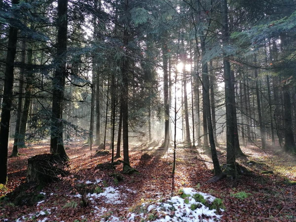 Fewo-Turmblick-Rottweil Luaran gambar