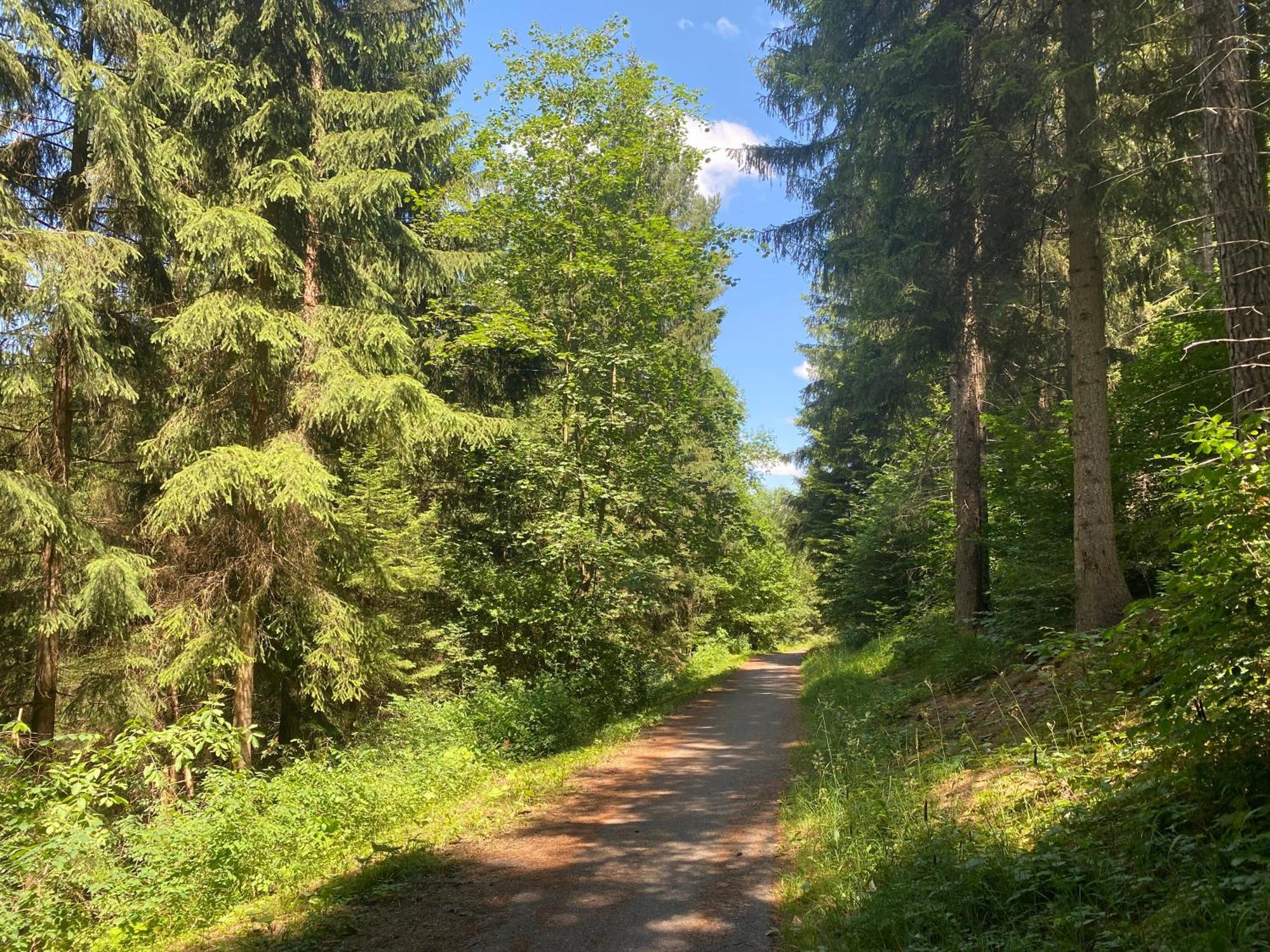 Fewo-Turmblick-Rottweil Luaran gambar