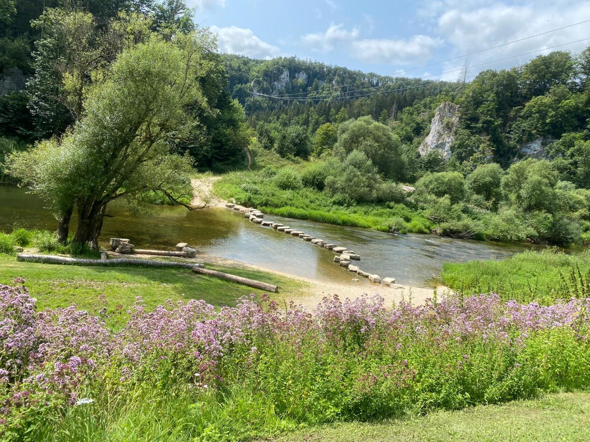 Fewo-Turmblick-Rottweil Luaran gambar